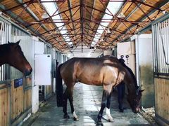 -松声马术俱乐部