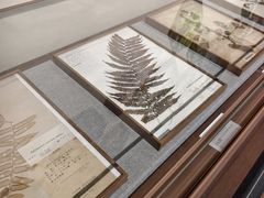 -四川大学博物馆