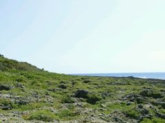 android_upload_pic-鹅銮鼻公园