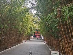 -望江楼公园