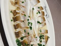 清蒸小白鱼-王记姚家味·地道苏帮菜(凤凰街店)