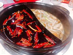 -XiaoJunGan Hotpot 钢管厂五区小郡肝火锅串串香