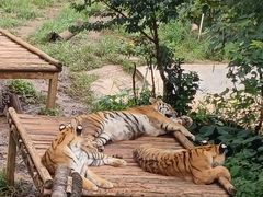 -昆明动物园