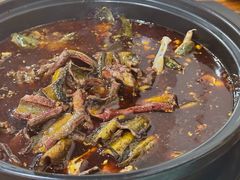 -金海椒罐罐鲢鱼(东方桂苑店)