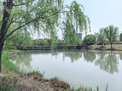 -九科绿洲