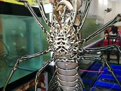 -QQ海鲜餐厅