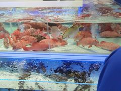 -盒马X会员店(上海森兰商都店)