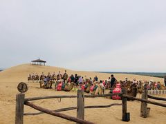-黄沙古渡原生态旅游区