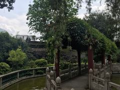 -碧江金楼