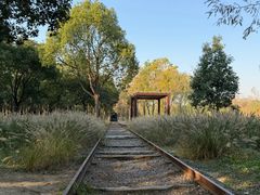 -上海浦江郊野公园-5号停车场