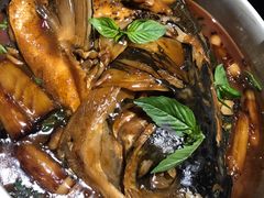 -小大董·烤鸭(凤凰汇店)