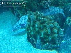 -乐从天佑城海洋馆