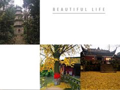 -佛荫寺