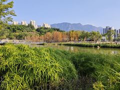 -牛岗山公园