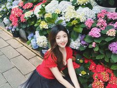 -溪岸路花鸟市场