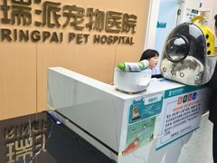 -瑞派康怡24h宠物医院·犬猫医疗中心·微创绝育(瑞景分院)
