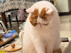 -栗满秋(燕丰西坝河店)