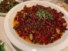 -院8里·小聚园老川菜(九眼桥店)