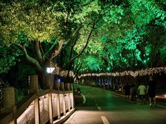 -沙家浜风景区