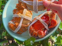 -阳澄湖大闸蟹·琼灵阁牌品牌连锁(吴中总店)