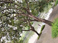 -荔枝公园(福田区)