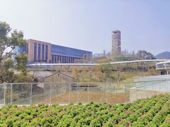 -东钱湖小普陀景区