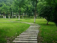 -西北湖绿化广场