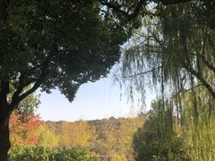 -古乐牛香·鲜牛肉牛杂火锅(新区店)