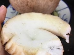 原只椰子炖走地鸡-達揚原味燉品(文明路店)