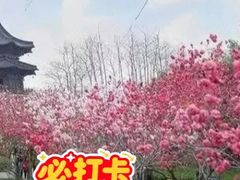 -凤城河风景区