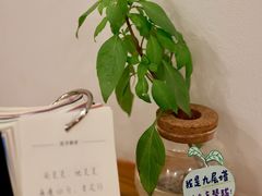 -呷贺盐酥鸡(抄纸巷店)
