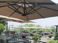 -蘇河湾·新鲁菜·泰山宴(泰山店)