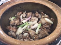 -红星光发煲仔饭(大石街店)
