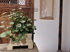 -月栖华明-云间草堂清茶馆(泗泾古镇店)