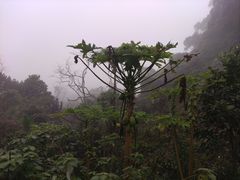 -海口火山口国家地质公园