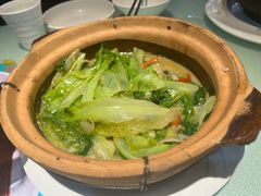 砂锅生啫云南BB脆生菜-日昌餐馆(德胜门店)