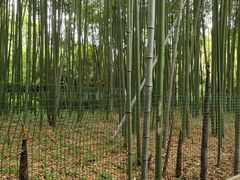 -汇龙潭