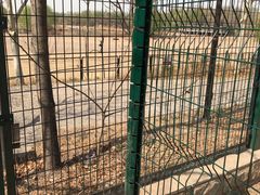 餐饮设施-南海子公园