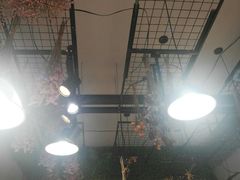-何兮花店·气球派对鲜花店(马桥银春路万科城店)