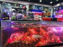 -苏州艺都古玩花鸟市场