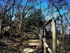 -紫金山山顶公园
