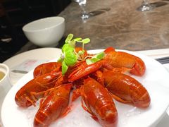 -觀芷隐轩