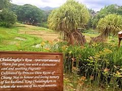 -四季酒店下午茶