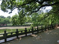 -武汉大学-樱园