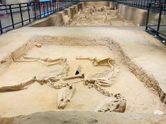 -洛阳周王城天子驾六博物馆