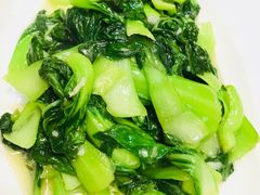 清炒时蔬-鑫悦楼煎蟹·16年海鲜大排档