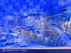-七的湖·晚芳亭·阳澄湖农家菜·大闸蟹(莲花岛店)