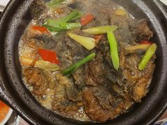 -长平肥姐白粥·海鲜打冷