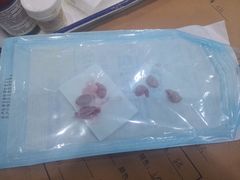 -伟伟宠物医院·CT影像中心·瑞派犬猫综合性门诊(汉口总院)