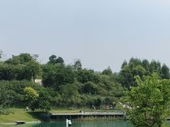 -水濂山森林公园